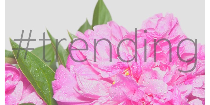 #trending: Springtime Color Palette #trending: Springtime Color Palette
