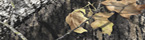 Mossy Oak New Break Up Outdoor (MO-BREAKUP-O)