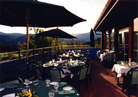 Umbrellas For Your Business