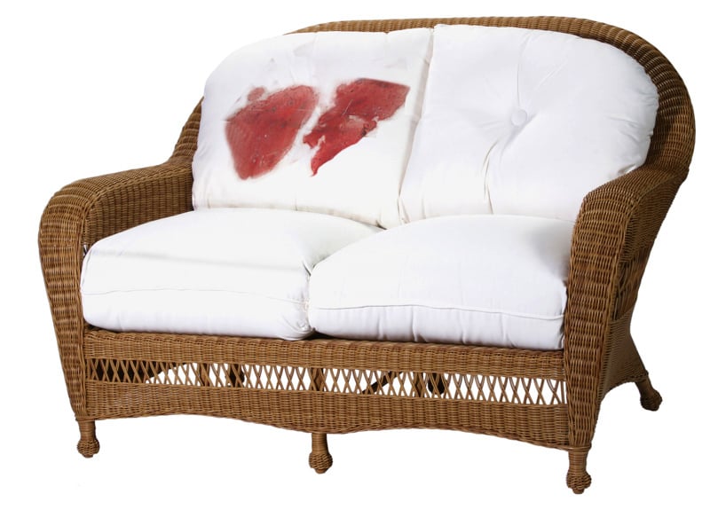 Restore Outdoor Cushions after a Zombie Apocalypse Restore outdoor cushions after zombies attack