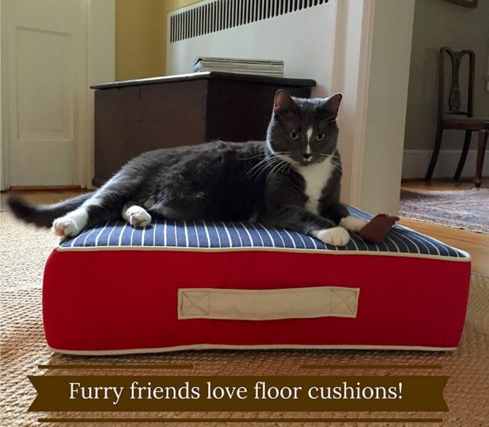 Floor Cushions for Pets