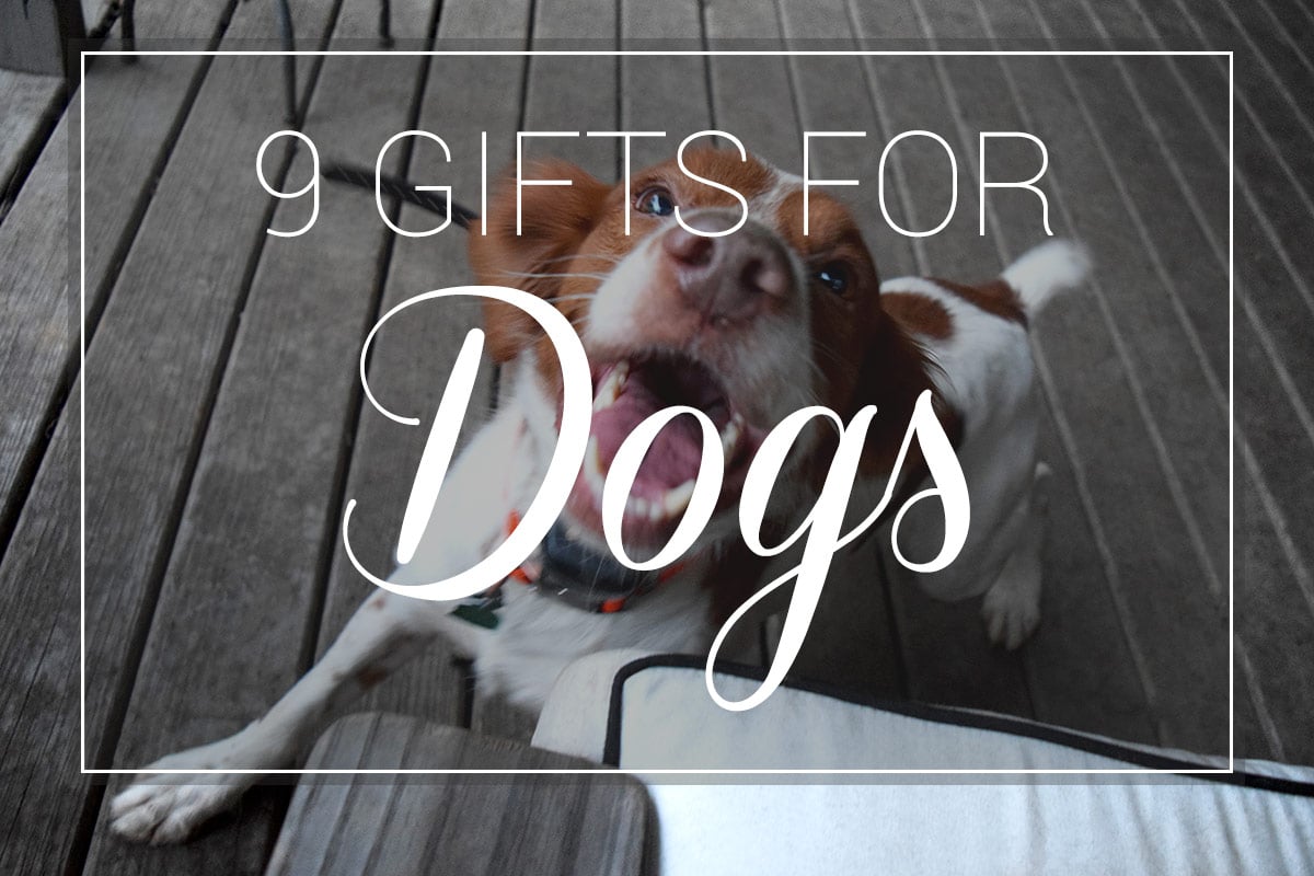 9 Gifts for Dogs