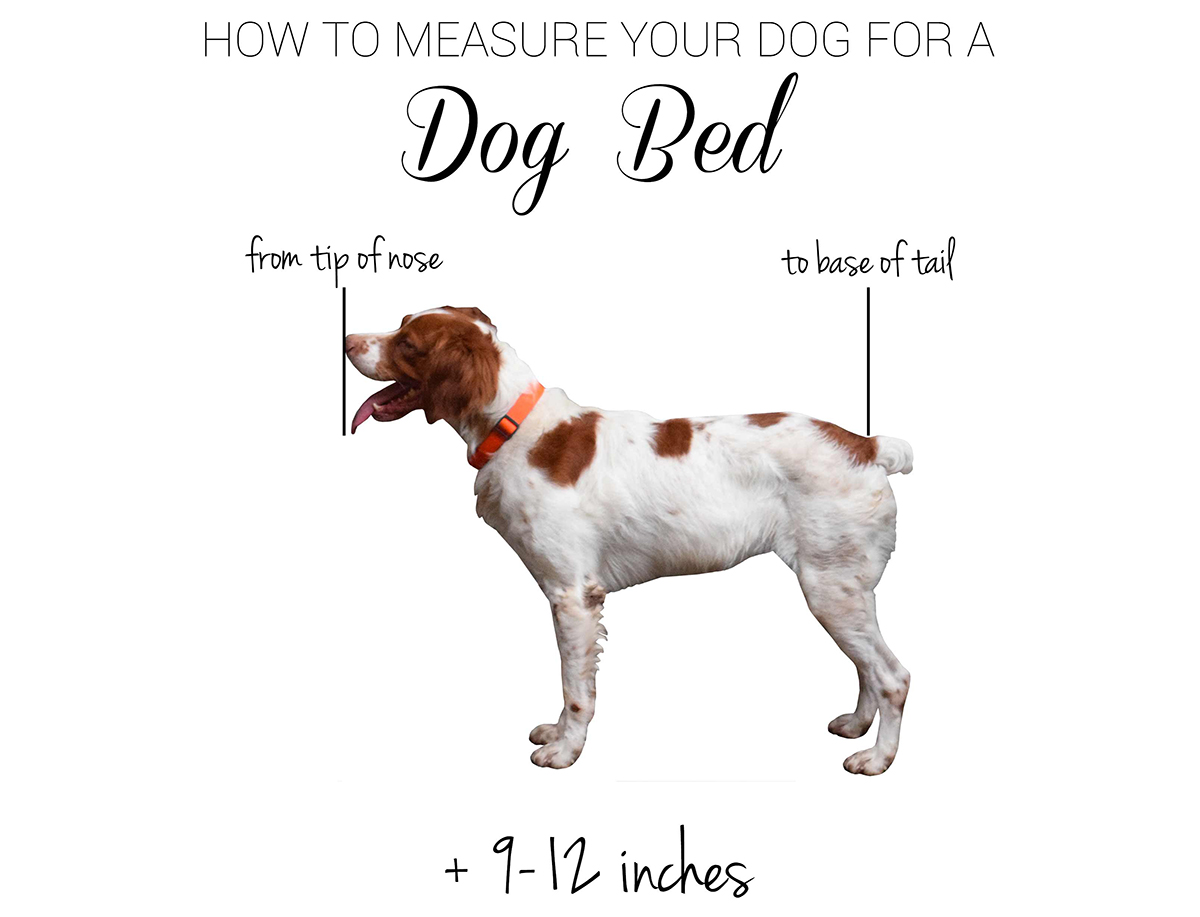 How to Measure for a Dog Bed