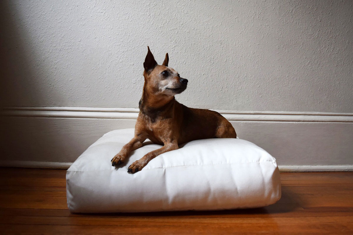 Sunbrella Dog Bed