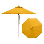 Umbrella Source | Market Umbrella