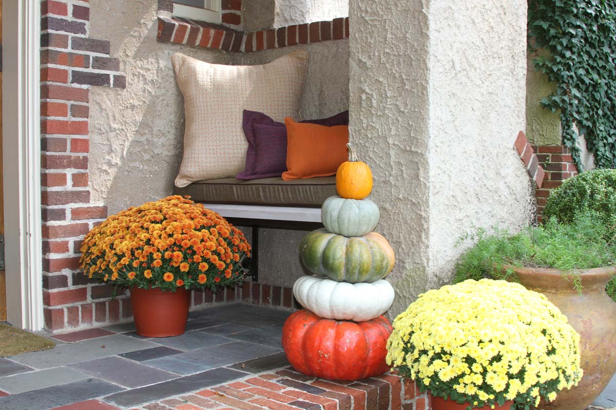 5 Ways to Update Your Patio for Fall Cushion Source Blog
